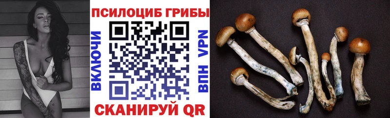 Псилоцибиновые грибы Magic Shrooms  МЕГА сайт  Староминская 